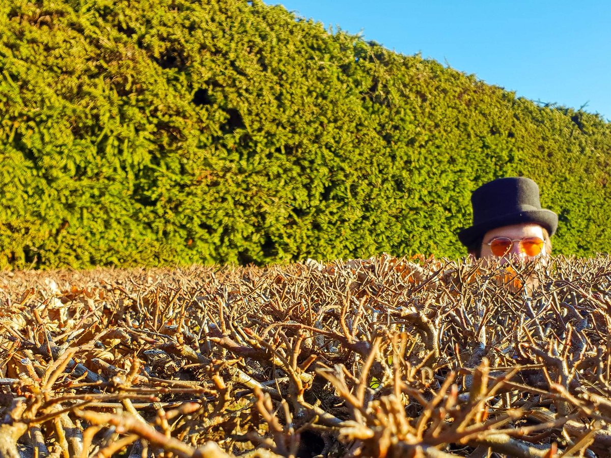Wog_Rockets's tweet image. Don't tell anyone you saw me 

#twitch #tophat #hideandseek