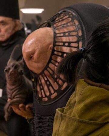 ringowhat would it be like to live in a ring such as this? anyway, she has a nice pup