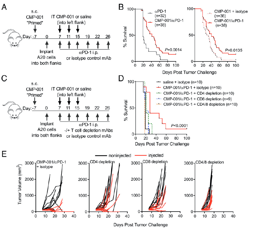 OTSociety's tweet photo. Antibody Opsonization of a TLR9 Agonist-Containing Virus-like Particle Enhances In Situ Immunization
#checkmatepharma @ArtKrieg
$IDRA $MGNK $ADRO $XCUR $PHIO #Mologen #CpG #TLR9 $SBPH
https://t.co/HYVeNxdWKt https://t.co/XJ3FzI5ZbV
