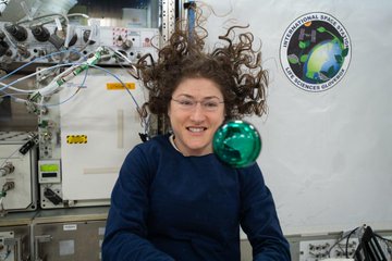 Ver imagen en Twitter