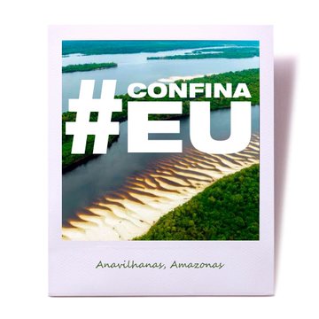 Ver imagem no Twitter