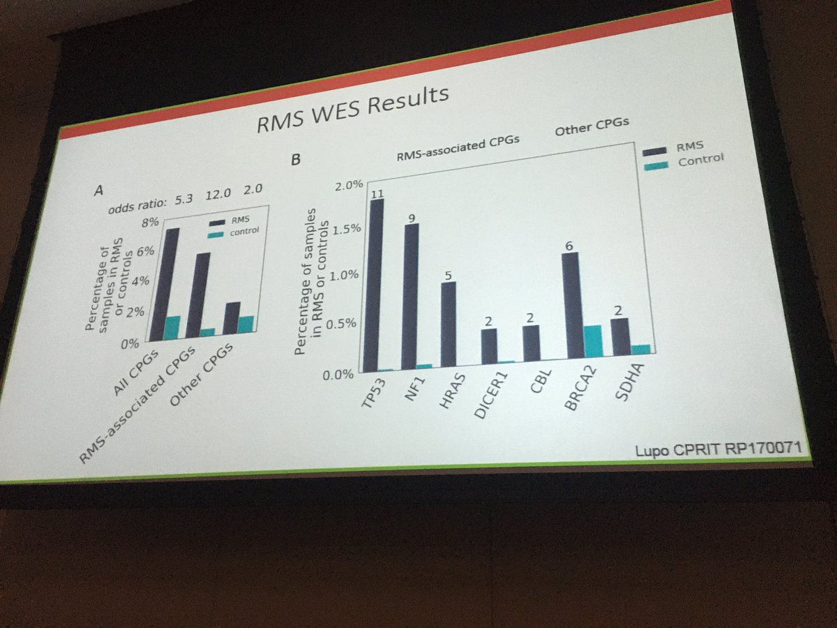 SarahScollon's tweet photo. RMS germline exome results presented by @plupo1 at #TCHSarcoma conference. Cancer predisposition genes were identified in 10% of embryonal and 3% of alveolar RMS cases in the study. https://t.co/byDrnUu3f8
