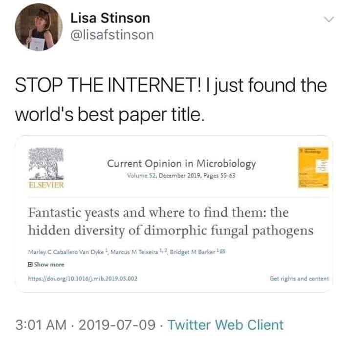 For any of my Adv Higher pupils who are still stuck for a title for their project... this will win points from me 🤓⚡️