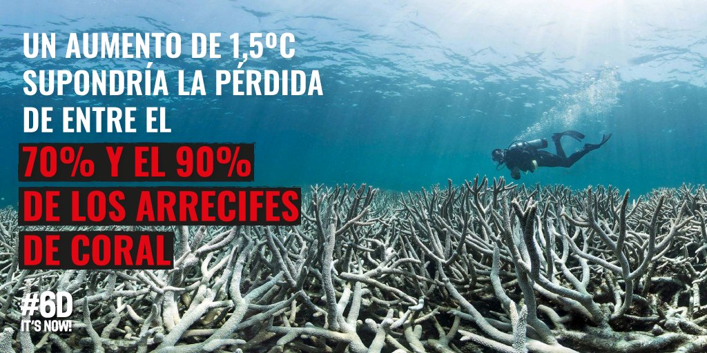 itsnow_org's tweet photo. El aumento de la temperatura en el mar está acelerando la desaparición de arrecifes de corales de la manera más rápida desde que existen registros. Por esto y más ¡NECESITAMOS ACCIONES CONCRETAS AHORA!

#6dnow #crisisclimatica #accionclimatica #coral https://t.co/chKAmmk8sD