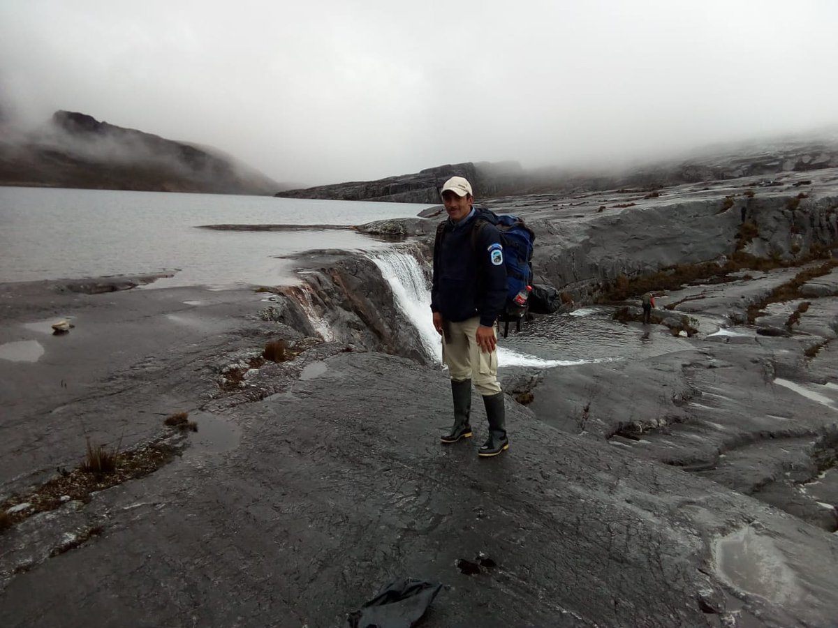 Parques Nacionales Naturales de Colombia lamenta y rechaza el asesinato de Yamid Alonso Silva Torres, guardaparque del Parque Nacional Natural El Cocuy. Lea aquí el comunicado completo: bit.ly/39fkYTD