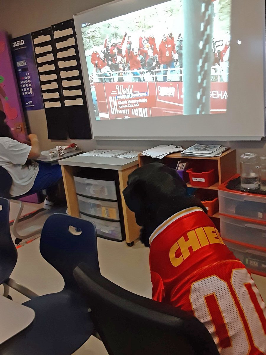 Patch, one of our therapy dogs, got to visit a classroom yesterday, and watch the Kansas City Chiefs Victory Parade! Some have given Patch the nickname "Patch Mahomes" in honor of our MVP, Patrick Mahomes.