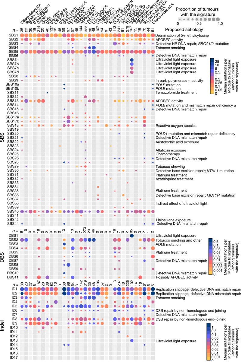 mmw_lmw's tweet photo. #HumanCancer | The repertoire of mutational signatures | number of mutations contributed by each mutational signature | #OpenAcess | Michael Stratton @sangerinstitute #PCGWA @Nature https://t.co/O9ynxAtFfJ https://t.co/YOXo1GRTsN