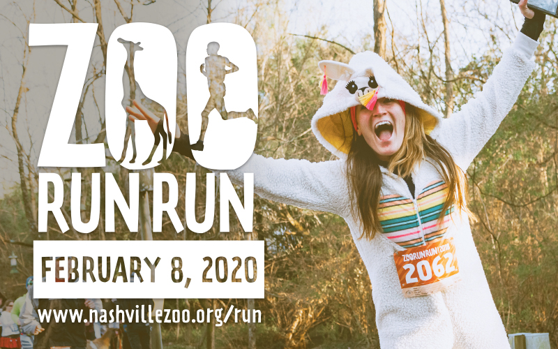 NowPlayingNash's tweet photo. Join a herd of runners at Zoo Run Run Nashville! This Saturday 2/8!
#ZooRunRun #NowPlayingNashville #NashvilleEvents #NashvilleSportsAndOutdoors #WhatToDoNashville @NashvilleZoo https://t.co/RQH3MB54AH https://t.co/SS3UX7rCWq