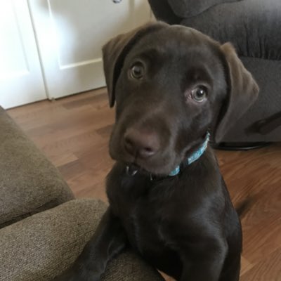CoreyPW's tweet photo. #NewProfilePic https://t.co/IBw989xwYl