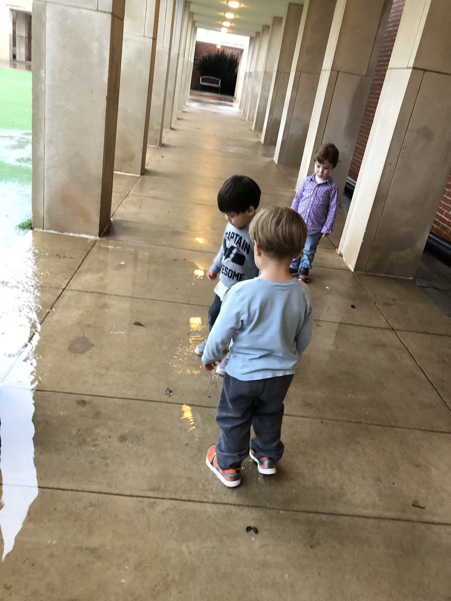 Kim Holbrook tweet media