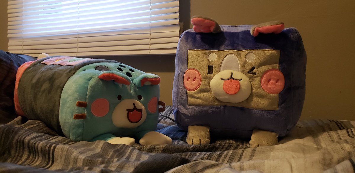 CinnaminiTwists's tweet photo. @rosegoldjelly What a wonderful surprise coming home from school :D
#puppycube and #switchcat have already made themselves at home https://t.co/iF2s3H5KNJ