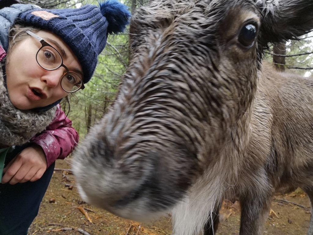 Coucou toi! #selfierenne #massifdesvosges