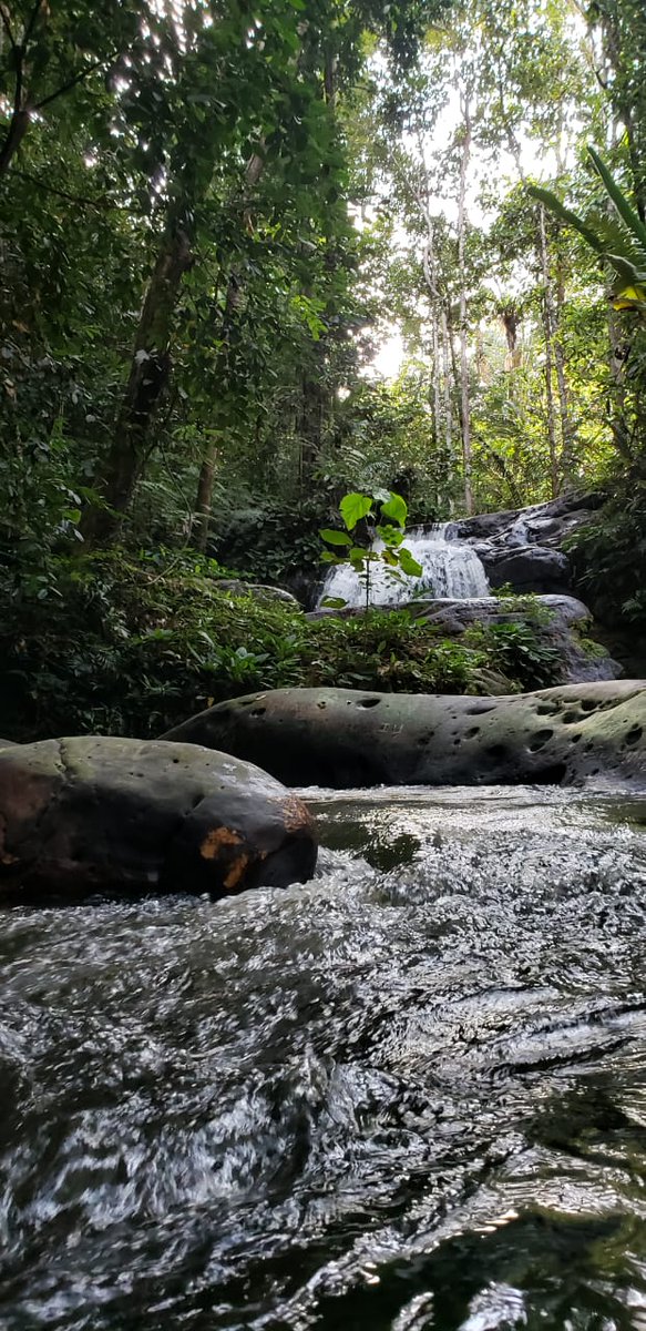 Ver imagem no Twitter