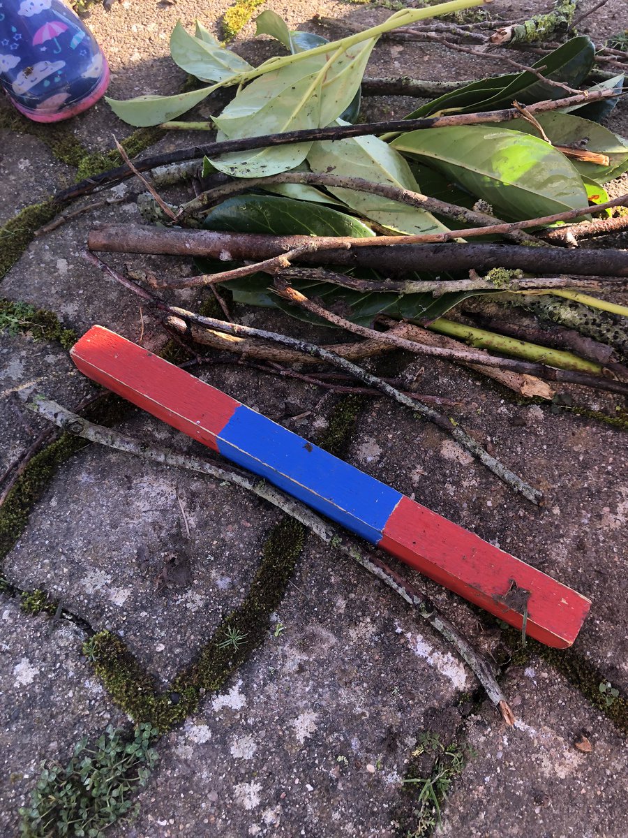 leslouloups's tweet image. #écoledehors et #problemater on mesure des éléments de la nature.