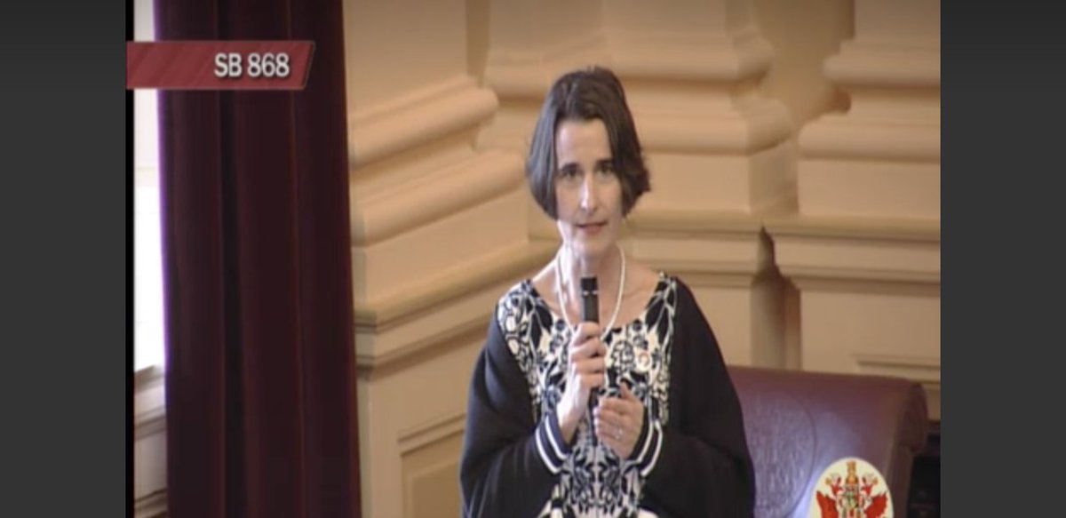 SouthernEqual's tweet image. Happening Live Now! Discussion of the #VAValuesAct in the Senate! "I'm so excited today that we are going to make a really positive change for [#LGBTQ] folks." virginia-senate.granicus.com/MediaPlayer.ph… #LGBTSouth