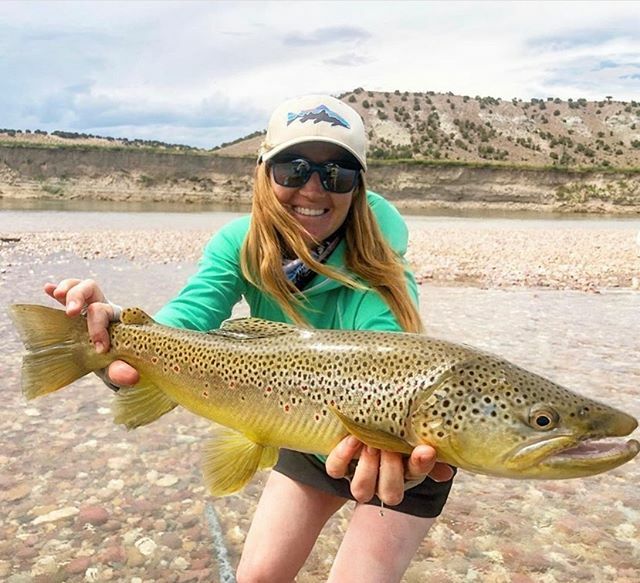 lamsonflyfish's tweet photo. Who else is ready for long Summer days, wet wading, and big brown trout eating on top?! ⠀
📸: | @heidiaqua⠀
⠀
#lamsonfleet #flyfishing #freshwater #ambassador #dowhatyoulove #keepitreel #innovate #design #getoutthere #flyreels #flyrods #explore #thegreatoutdoors #madeinth… https://t.co/qwoJdFnfAW