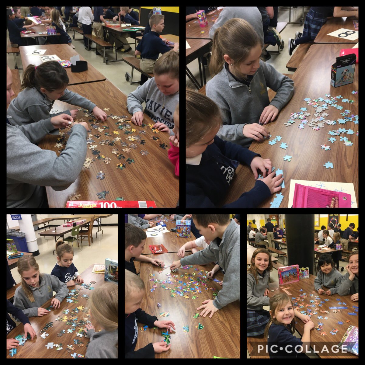 DarleneSchwab1's tweet photo. 100 Days of Learning!  100 Days of Fun! 💛🖤 @StAntoninus  @CatholicCincy https://t.co/87uUZFaHTZ