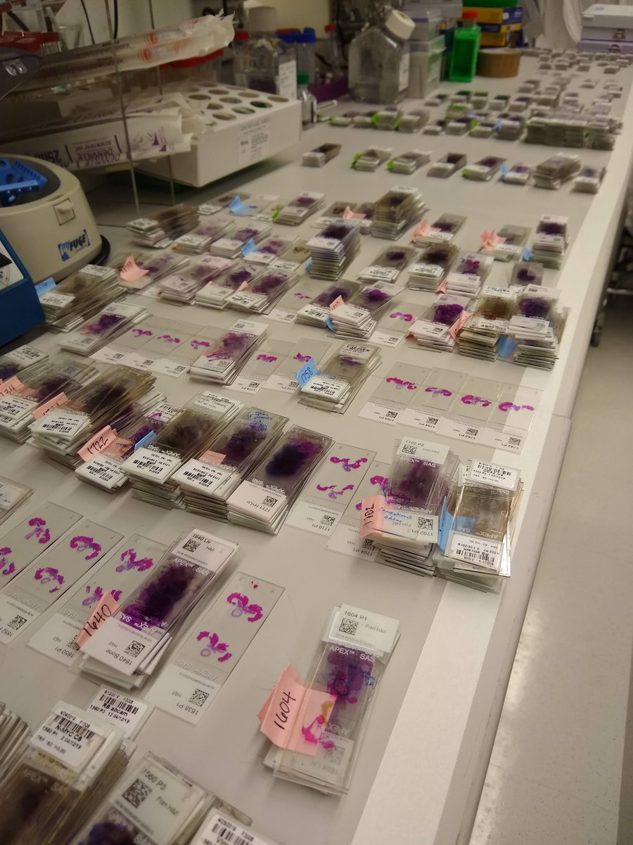 Rickman Lab tweet media