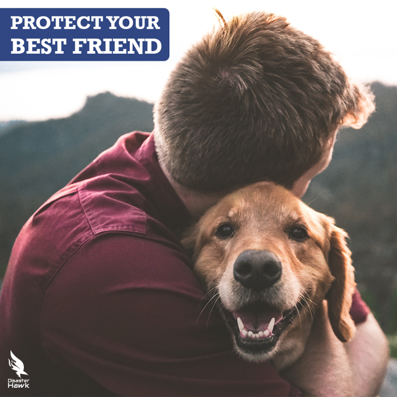 DisasterHawk's tweet image. Things you should consider in your emergency pet supply kit: blanket, extra collar or harness and leash, disposable garbage bags, toys, and also making sure all your pets wear collars and tags with up-to-date identification information.