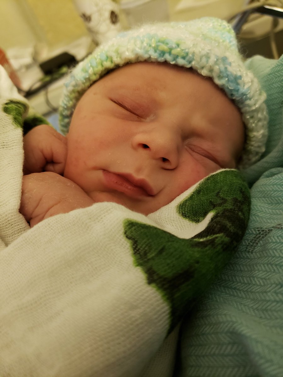 Ashley Binkle tweet media