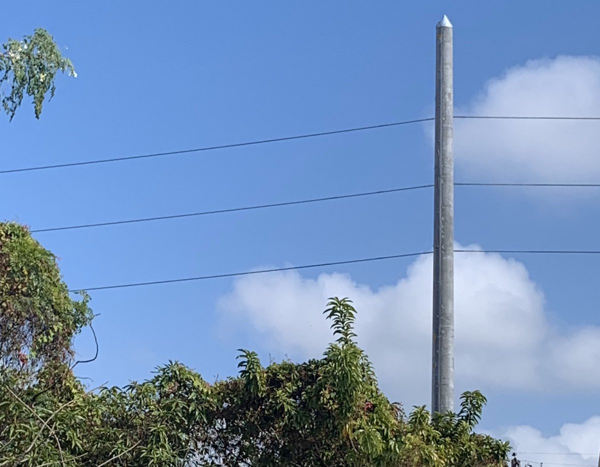 HermidaBetty's tweet photo. Poles and electrical lines being upgraded in Allápattah.  My dog thinks it’s a monster, though. 🤦‍♀️ https://t.co/DuC2wTE6ZM