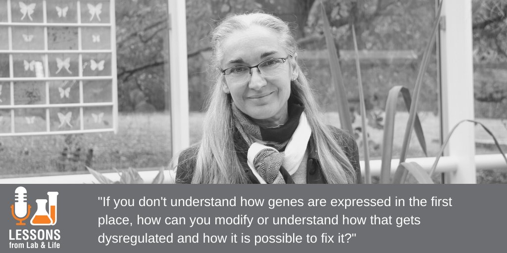 It's almost <a href="/WomenScienceDay/">Women in Science Day</a> and Dr. Eva Nogales is a fine example of the type of dedication and perseverance it takes to be one of the great #WomenInScience
Learn more about Dr. Nogales and her work in the latest episode of the NEB Podcast: nebiolabs.com/2vZ2clf