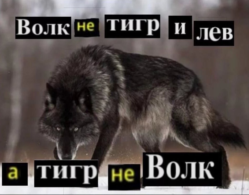 ZoLuZavisima's tweet photo. @asp33_ https://t.co/q0izo2N7CX