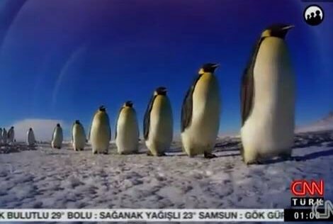 İftiraya, yandaşlığa, ilkesizliğe son! 

#CnnTürkBoykot