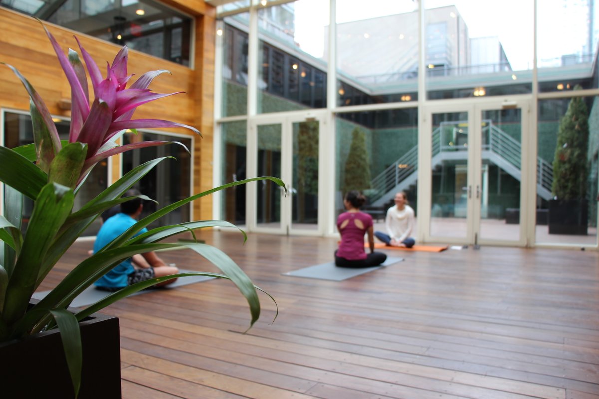 cachetny's tweet photo. Join Omtuition for Yoga Flow every Saturday at 9:30 AM at Retreat @cachetny.  Free for the guests, $15 for visitors.
#YogaNYC #CachetBoutiqueNYC https://t.co/DVsrUTm1oD