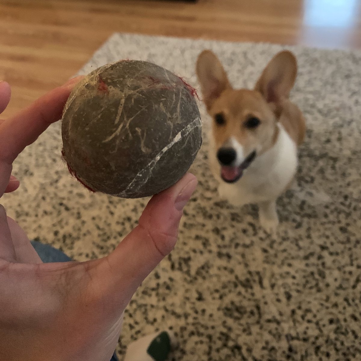 Cassius wants Twitter to know what a tennis ball looks like without skin... 