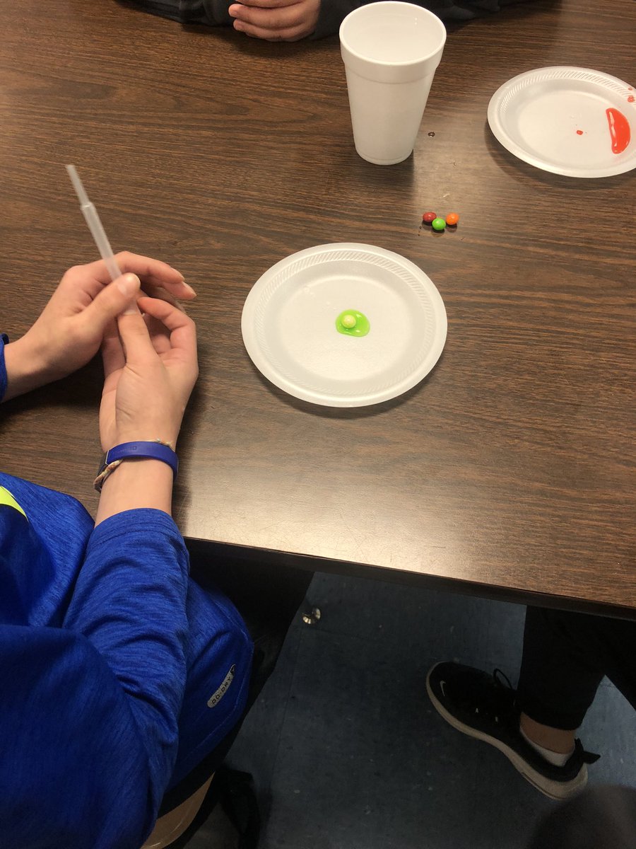 mspatterson12's tweet photo. Studying the effects of erosion and weathering with water and skittles. 🌈🌈 #geography https://t.co/ZDg8jZ5KXR
