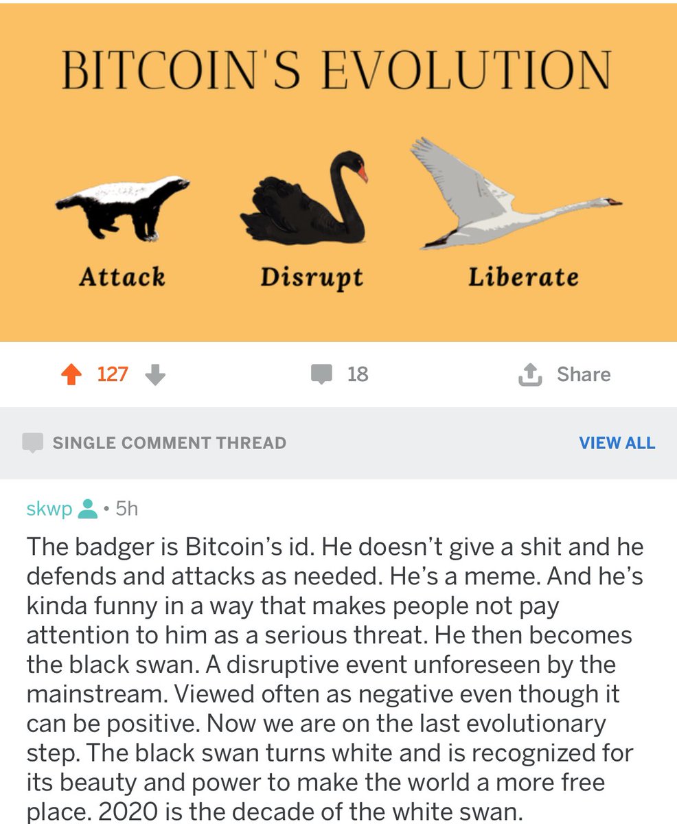 Yan | swan.com tweet media