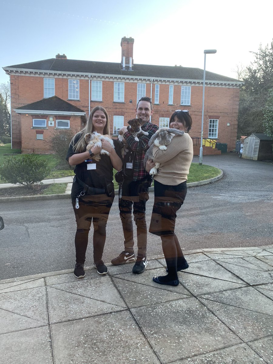 TashaGC's tweet photo. Animal Therapy at Burton Park @PrioryGroup. Our patients loved having the animals in #EngagedPatients #OTs #AnimalTherapy https://t.co/RK1YRFhT0D