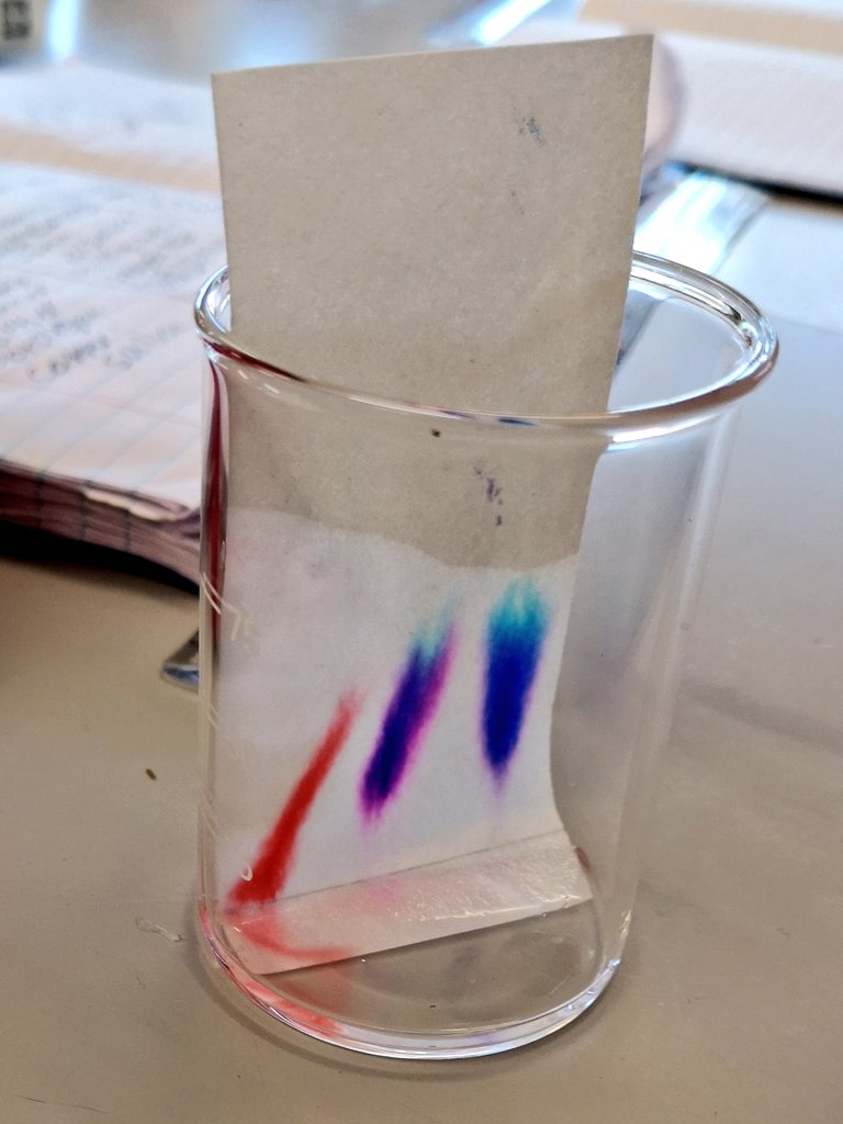PencoedScience's tweet photo. 7.6 enjoyed separating dyes using chromatography today! #colourfulscience #rainbowchemistry https://t.co/xHNylA4AFV