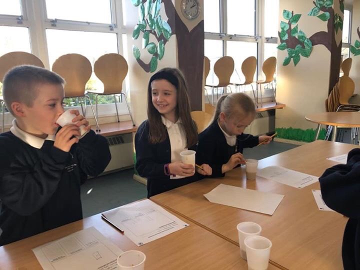 SpringCottagePS's tweet image. We enjoyed our @tigerstrust session today; we made smoothies. It was a great way to end our lessons on healthy living! #SpringCottage3LF #springcottagescience