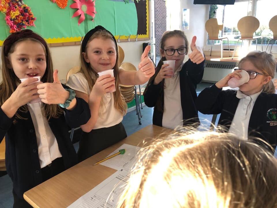 SpringCottagePS's tweet image. We enjoyed our @tigerstrust session today; we made smoothies. It was a great way to end our lessons on healthy living! #SpringCottage3LF #springcottagescience