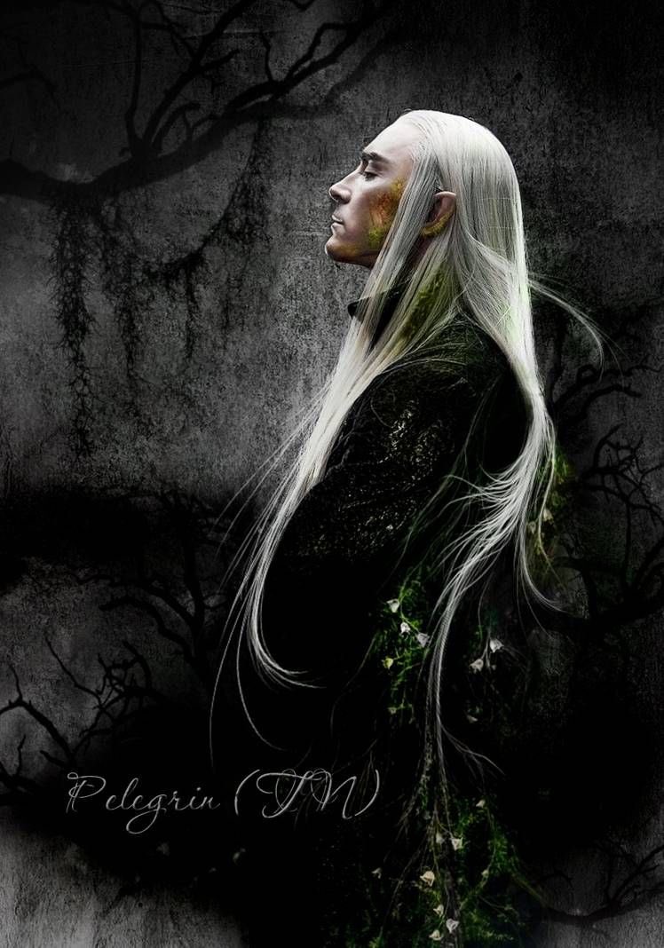 xWendyleeuwx's tweet photo. 🍃Thranduil 🍃 Mirkwood shadow
by Pelegrin-tn on DeviantArt.
#artfromthranduil #leepace #tharanethuil #king #philwinslow #Marmaduke #Nedthepiemaker #pushingdaisies #samcolin #Flyingtiger2 #johndelorean #Driven #michaelpardue #soldiersgirl #calpernia #leeforever #leeepfrog https://t.co/dXINCFGS5L