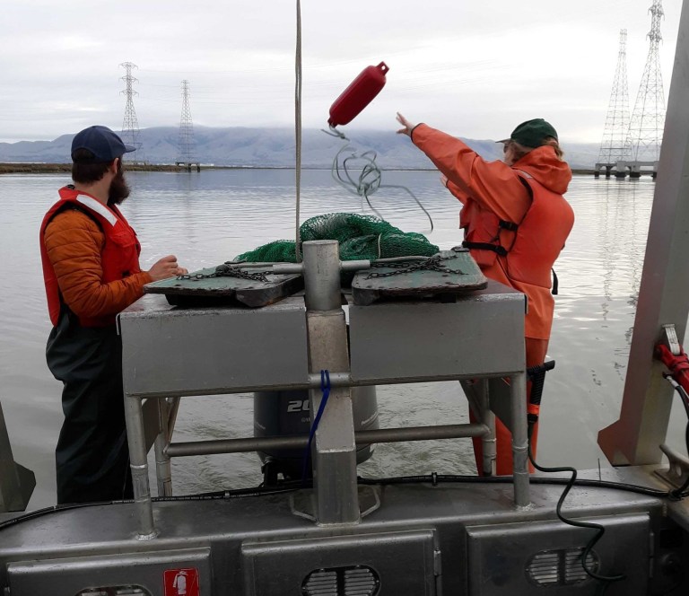 FishFichman's tweet photo. Look! It's @alec_r_scott and me deploying the otter trawl looking for Longfin Smelt broodstock #OGFishLab @HobbsLab https://t.co/RUEFPoXBq3