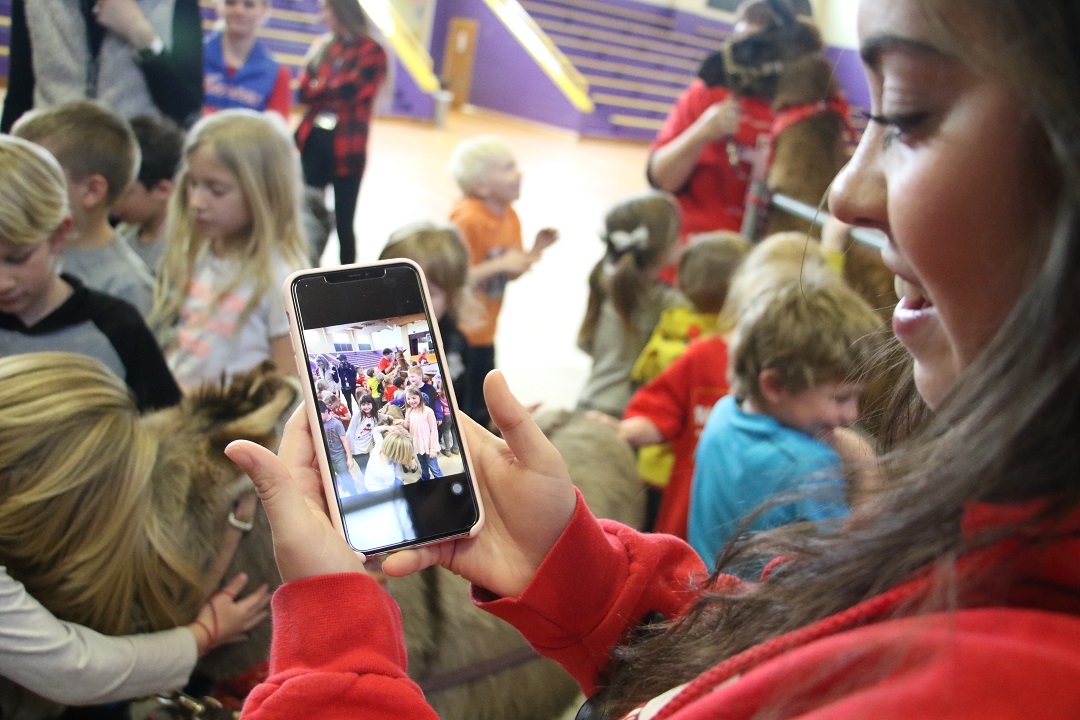 USD261's tweet photo. Rex Elementary staff & teachers are amazing! They brought the animals in 'Charlotte's Web' to life for students as part of their 'One Book, One School' program.
@ElementaryRex
#TBThursday
#usd261derful https://t.co/BoKCCBhoY2