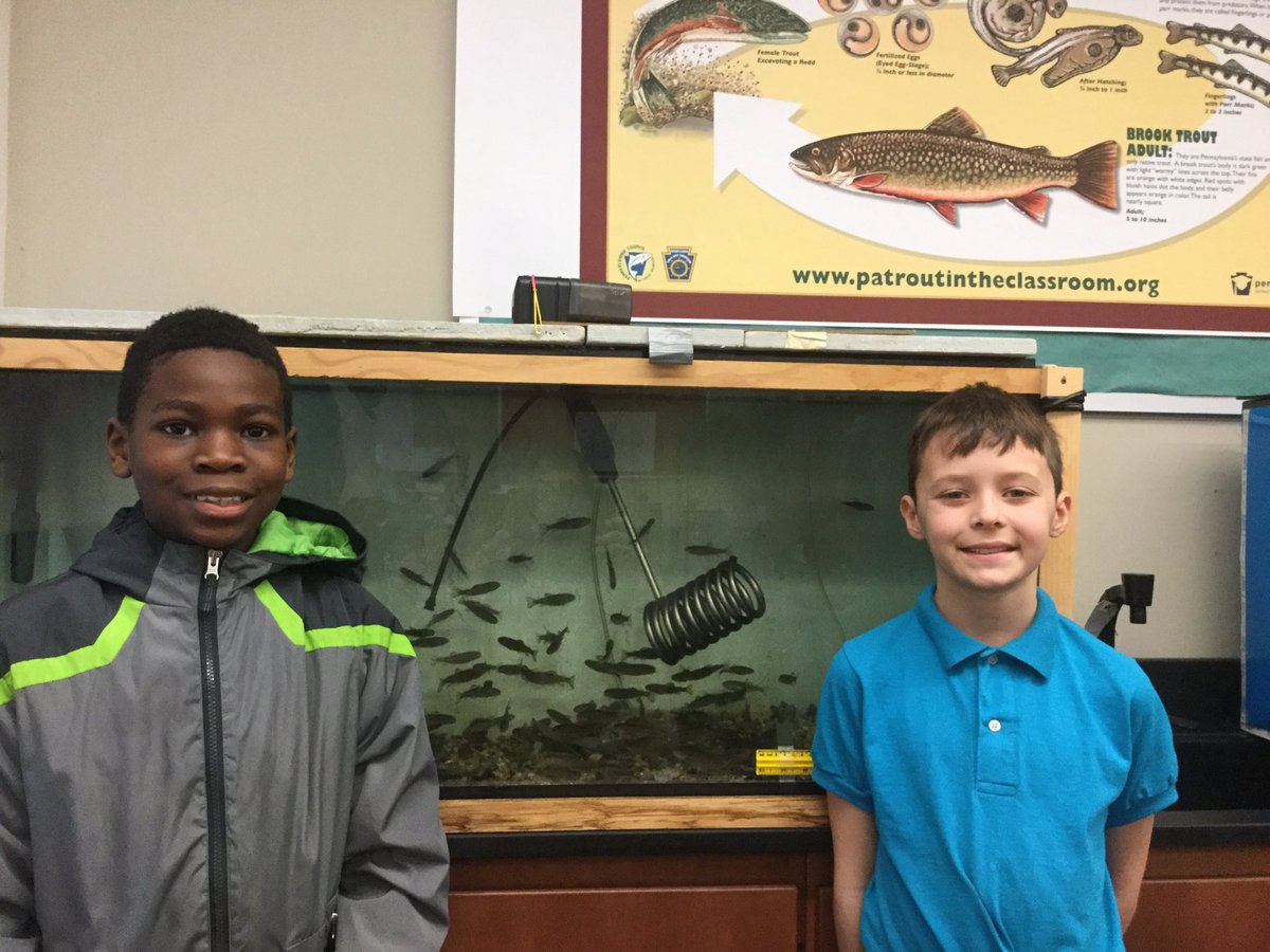CHLionsTeam's tweet photo. Lions Science class raising Rainbow Trout for our Trout in the classroom project. https://t.co/pzvQHXQtoq