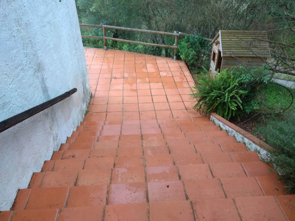 RustisurB's tweet image. Limpieza de un suelo de barro exterior con verdín