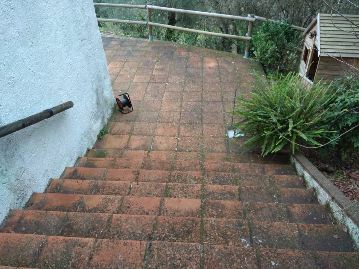 RustisurB's tweet image. Limpieza de un suelo de barro exterior con verdín