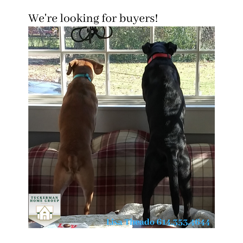 TuckermanHomeGr's tweet image. 