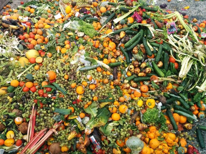 Olio_ex's tweet photo. ✍️ Sign this petition by @feedbackorg to make #foodwaste reporting mandatory and take real action against #ClimateChange ✊

 https://t.co/syuQt6wnr4 https://t.co/ywKIvnSS5A