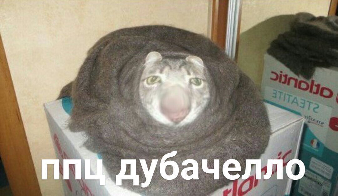EQHkQtHWsAM7QyQ?format=jpg&name=medium
