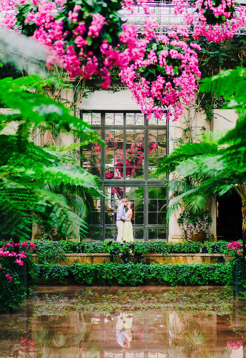 KatElizPhoto's tweet photo. Some of the magic from Saturday’s @longwoodgardens engagement session!! #marylandweddingphotographer #baltimoreweddingphotographer #bridetobe2020 #engagement https://t.co/T5ME7lfobN