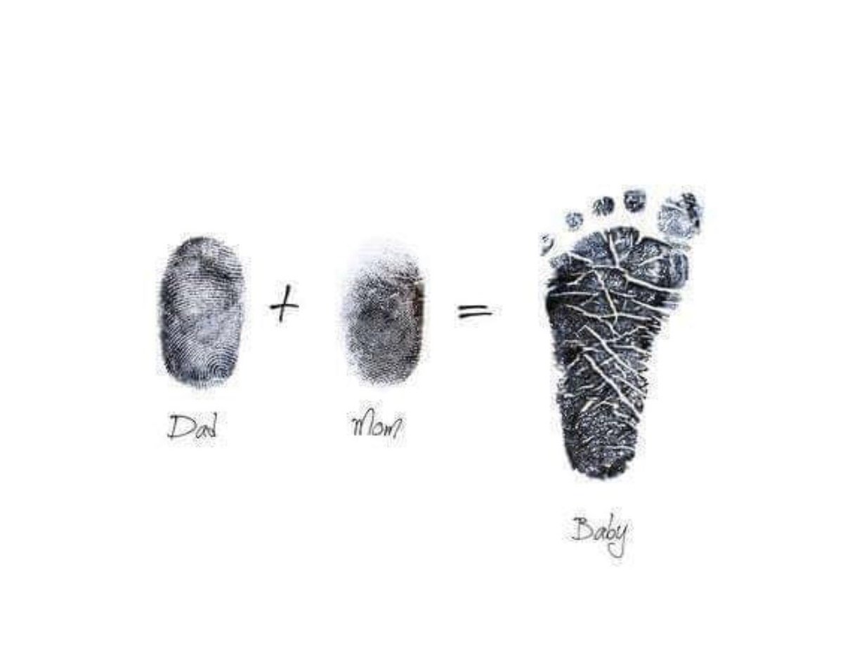 baby photo album ideas fingertips