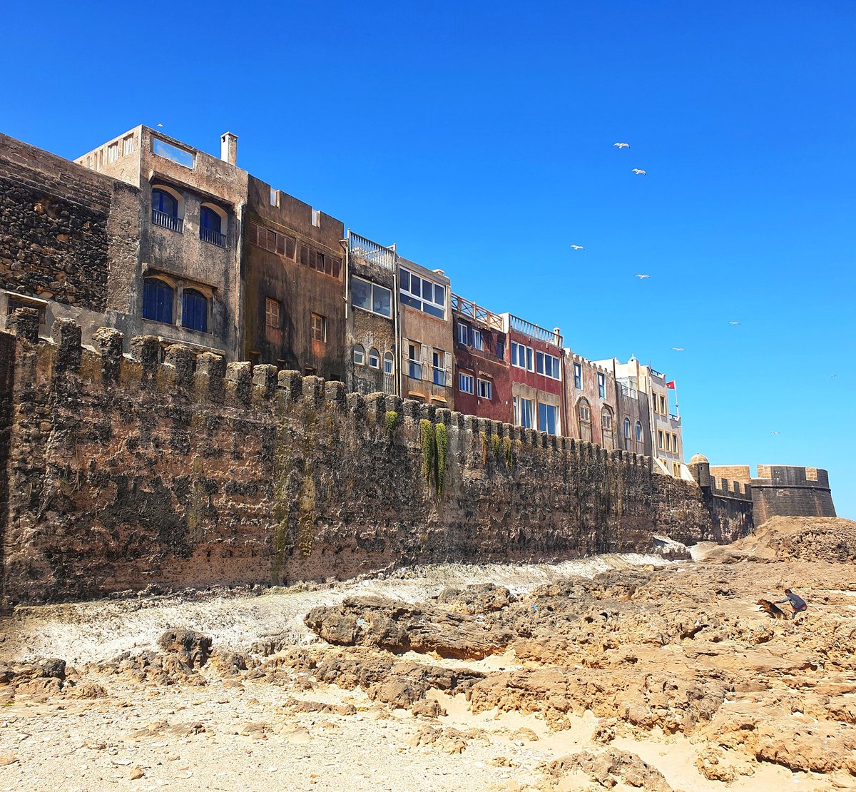 The magnificent walls of #Essaouira #Morocco