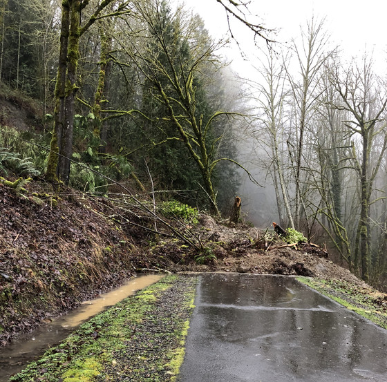 Photo of a landslide covering a trail.