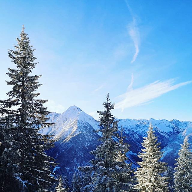 TracingKaro's tweet photo. Pow is baaaaaack 🤟😎
.
.
.
.
.
#mountains #mountainlife #mountainlove #mountaingirls #mountainview #winter #snow #snowboarding #powder #powderday #powpow #bluebird #bluebirdday #throughthetrees #trees #penken #mayrhofen #Zillertal #tirol #austria #vis… https://t.co/FM2NW1vaBL https://t.co/R7wGrbbk7x